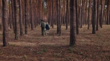 Yaşlı bir kadın iki yetişkin torunu ve bir köpekle çam ormanında yürüyor. Uzun ağaçlar ve toprak örtüsüyle çevrili doğal bir yol boyunca yürürler, huzurlu bir doğa yürüyüşünün tadını çıkarırlar..
