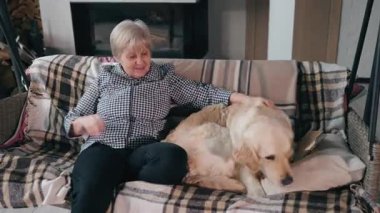 Son sınıf öğrencisi bir salıncakta oturmuş, köpek battaniyeyle kaplı bir koltukta yanına yerleşmeye çalışırken şefkatle Golden Retriever 'ını okşuyor. Yüksek kalite 4k görüntü