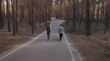 İki adam, bir Golden Retriever 'la çam ormanında dolambaçlı bir yolda yürüyor. Rahat bir tempoda hareket ederler. Etraflarındaki sessiz atmosferin ve doğanın güzelliğinin tadını çıkarırlar..