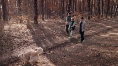 Yaşlı bir kadın ve iki yetişkin torunu izlerken bir Golden Retriever kumda çukur kazıyor. Bir çam ormanında durup neşeli köpeklerin enerjik davranışlarını izliyorlar. Yüksek kalite 4k