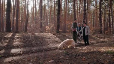 Yaşlı bir kadın ve iki yetişkin torunu zevkle izlerken Golden Retriever coşkuyla kumda çukur kazıyor. Çam ormanlarında bir arada durup, köpeklerin neşe saçmasını izliyorlar.
