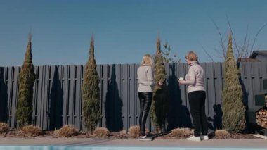 Yaşlı bir kadın ve orta yaşlı kızı arka bahçede durmuş, kışa sarılmış thuja ağaçlarını tartışıyorlar. Yaşlı kadın bir fincan tutarken genç olan el kol hareketi yapıyor. Yüksek kalite 4k görüntü