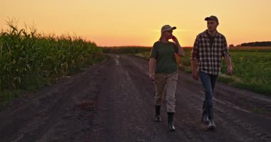 Tarlalar arasındaki kırsal toprak yolda gün batımında yan yana yürüyen iki çiftçi, iş gününün huzurlu sonunun keyfini çıkarıyorlar..