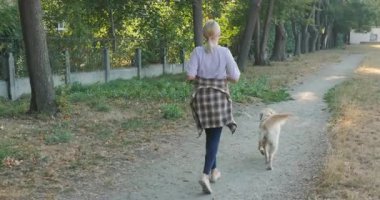 Orta yaşlı bir kadın sabah vakti orman yolunda Golden Retriever 'ıyla koşuyor. Yüksek kalite 4k görüntü