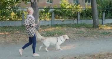Orta yaşlı bir kadın güneşli bir günde parkta tasmalı bir Golden Retriever 'la koşuyor. Yüksek kalite 4k görüntü