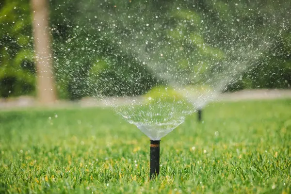 Otomatik sulama sırasında bahçedeki yeşil çimlerin üzerine su püskürten fıskiyeler, güneş ışığında görülebilen su damlacıkları. Yüksek kalite fotoğraf