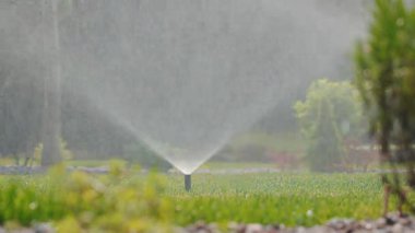 Açılır-kapanır fıskiye sistemi peyzajlı bir bahçede aktif hale gelir, yerden yükselir ve taze yeşil çimlerin üzerine geniş bir su yayı püskürtür. Yüksek kalite 4k görüntü