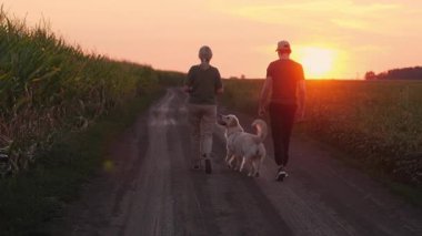 Golden Retriever 'ı altın saatinde bir mısır tarlasının yanındaki toprak yolda yürüten çiftçi çift kırsal tarım hayatını sembolize ediyor. Yüksek kalite 4k görüntü