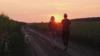 Çiftlik çifti, sıcak bir gün batımında bir mısır tarlasının yakınındaki toprak bir yolda Golden Retriever 'larıyla kırsal tarım hayatını kucaklayarak yürüyor. Yüksek kalite 4k görüntü