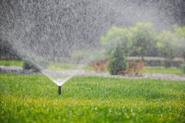 Bahçe fıskiyesi, yaz aylarında bahçenin arka bahçesindeki sulama sırasında yeşil çimlere eşit miktarda su püskürtür. Yüksek kalite fotoğraf