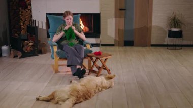 Genç kız şöminenin yanında örgü örerken köpek yerde dinleniyor. Yüksek kalite 4k görüntü