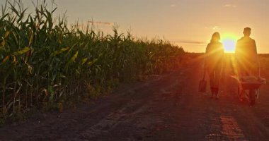 Bir gün boyunca çiftlikte çalıştıktan sonra elinde bir kürek ve bir el arabası dolusu sebzeyle tarladan eve yürüyerek dönen kadın ve erkek. Yüksek kalite 4k görüntü
