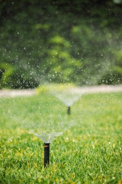 Otomatik fıskiyeler yeşil çimenleri görünür su spreyi ve damlacıklarla suluyor. Peyzaj bahçesindeki sulama sisteminin bir parçası. Yüksek kalite fotoğraf