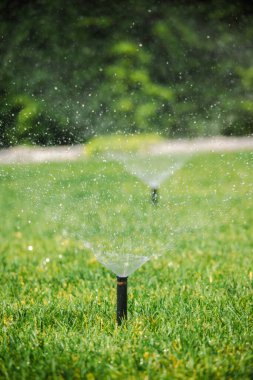 Çalışan bir çimenlik fıskiyenin arka bahçedeki yeşil çimlere püskürttüğü yakın görüntü sulamayı gösteriyor. Yüksek kalite fotoğraf
