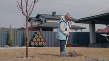 Orta yaşlı bir kadın, genç bir ağacın yakınındaki arka bahçedeki kuru otları tırmıklıyor ve açık gökyüzünün altında bahar bahçesinin bakımını yapıyor. Yüksek kalite 4k görüntü