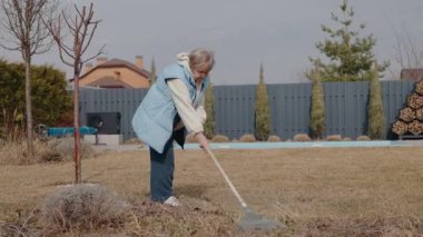 Sıcak elbiseli yaşlı bir kadın küçük bir ağacın yakınındaki bahçeyi tırmıklıyor, kuru otları temizliyor ve baharda yetişmesi için çimleri hazırlıyor. Yüksek kalite 4k görüntü