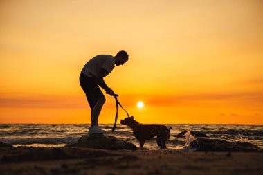 Adam, kumlu bir sahilde güneşin doğuşunda Alman boksör köpeğiyle oynuyor. Yüksek kalite fotoğraf