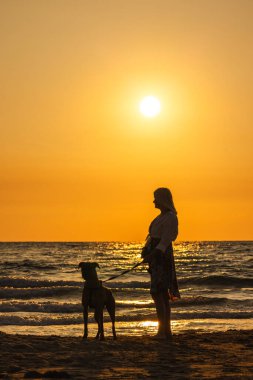 Gün batımında bir köpekle sahilde duran bir kadın, deniz kıyısındaki akşamın tadını çıkarıyor. Yüksek kalite fotoğraf