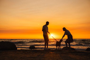 Gün batımında sahilde Alman boksör köpeği olan çift, erkek tasmayı okyanus dalgalarının yanında tutarken kadın köpeği sevmek için eğiliyor. Yüksek kalite fotoğraf