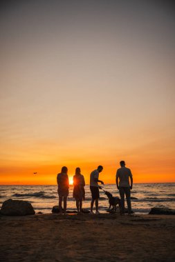 Bir Alman boksör köpeği olan dört kişilik bir grup, sahil kenarında durup sakin akşam denizini seyrediyorlar. Yüksek kalite fotoğraf