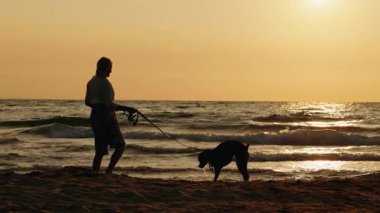 Gün doğumunda kumlu bir sahilde köpeğini gezdiren bir kadın, kıyıda dalgalar yuvarlanıyor. Yüksek kalite 4k görüntü