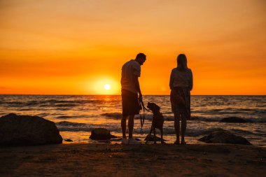 Kumlu sahilde Alman boksör köpeği olan çift yaz akşamı yürüyüşü sırasında deniz ufkunda parlayan günbatımını seyrediyor. Yüksek kalite fotoğraf