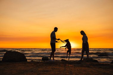 Erkek ve kadın gün batımında sahilde Alman boksör köpeğiyle oynuyorlar ve köpek sahilde heyecanla zıplıyor. Yüksek kalite fotoğraf