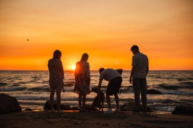 Gün batımında kumlu bir plajda Alman bir boksör köpeğiyle birlikte okyanus manzarasının tadını çıkaran dört kişilik bir grup. Yüksek kalite fotoğraf