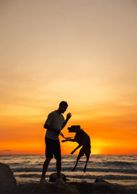 Adam gün batımında sahilde Alman boksör köpeğiyle oynuyor. Köpeğin silüeti okyanus dalgalarının yakınındaki sahibine doğru zıplıyor. Yüksek kalite fotoğraf