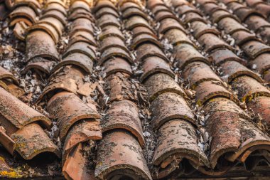 Eski kil kil kiremit çatı, yosun ve kuru yapraklar, doku, çürüme ve kırsal mimari detay gösterir. Yüksek kalite fotoğraf