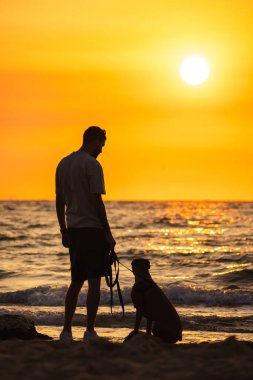 Alman boksör köpeği ile sahilde duran bir adam yanında oturuyor, ikisi de denizin üzerinde gün batımını seyrediyor, huzurlu bir siluet sahnesi yaratıyor. Yüksek kalite fotoğraf