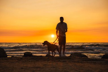 Okyanus dalgalarının olduğu renkli bir gün batımında sahilde Alman bir boksör köpeğini tasmasıyla bekleyen bir adam. Yüksek kalite fotoğraf