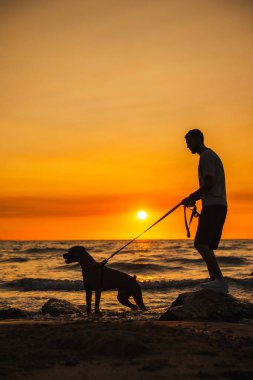 Alman boksör köpeği olan bir adam, elinde tasmayla deniz kenarında kayaların üzerinde duruyordu. Gün batımında suyun üzerinde parlıyordu. Yüksek kalite fotoğraf