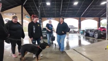 Siyah arabalı bir adam araba kullanıyor.