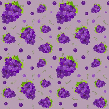 Vektörde kusursuz desen: leylak arkaplanda mavi üzümler. Parlak desen, doğrusal vektör. Şaraphane, üzüm bağları, masa örtülerine baskı, ambalaj kağıdı, meyve suyu ambalajı, çarşaf.