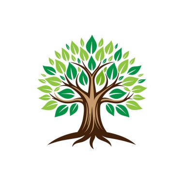 Banyan Ağacı Logo Tasarım Vektörü