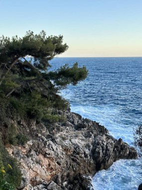 Akdeniz kıyısında kayalık bir sahilde Roquebrune-Cap-Martin yakınlarında, Nice, Provence-Alpes-Cte d 'Azur, Fransa, Ekim 2023