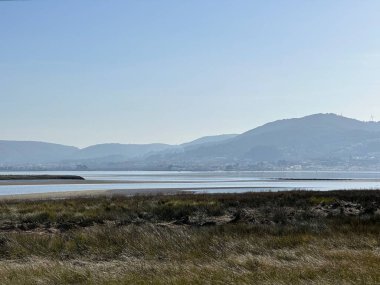 Salcidos yakınlarındaki Minho nehrinin ağzındaki sahil bataklıkları, A Guarda, Galiçya, İspanya, Şubat 2024