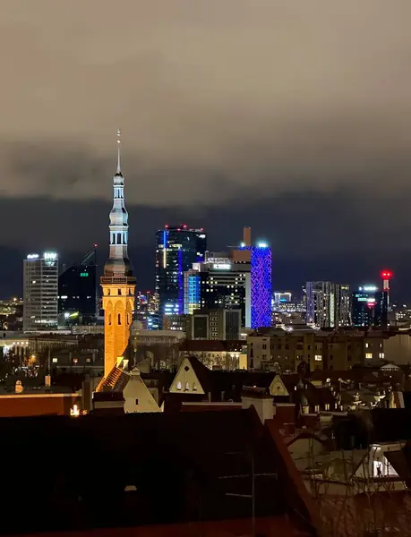 Aydınlatılmış modern binalar ve belediye kulesi, Harju, Estonya, Şubat 2024 ile Tallinn ufuk çizgisi gece görünümü