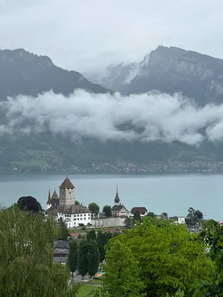 Schloss Spiez şatosuyla Thunersee Gölü manzarası, Bern, İsviçre, Mayıs 2024