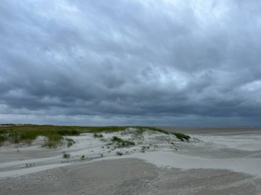 Alman adasının kıyısında.