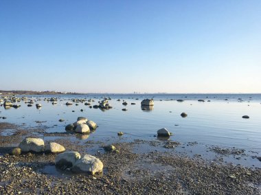 Rusya Körfezi kıyısındaki deniz taşları..