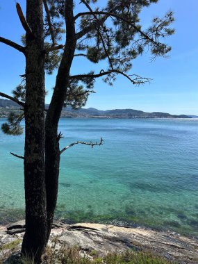 Güzel göl manzarası