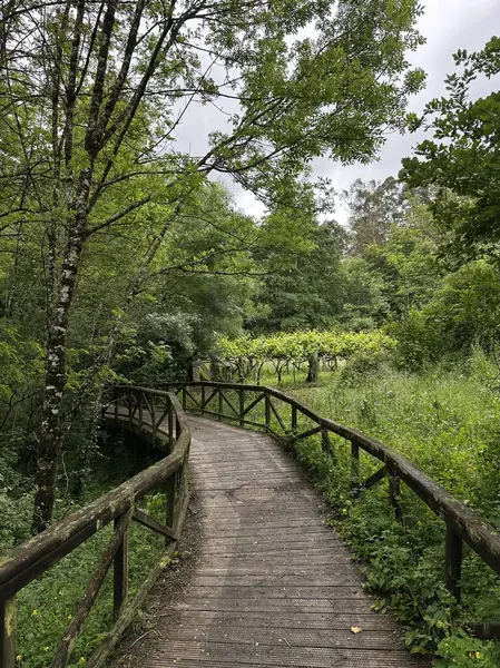 Parkın güzel manzarası