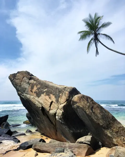 Sri Lanka 'da kayalık bir plajın güzel bir görüntüsü.