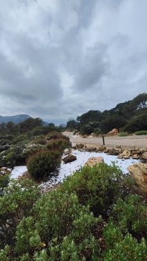 Snow in the mountains of Ibiza, a short distance from the sea. Vertical footage