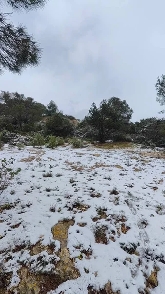 Snow in the mountains of Ibiza, a short distance from the sea. Vertical footage