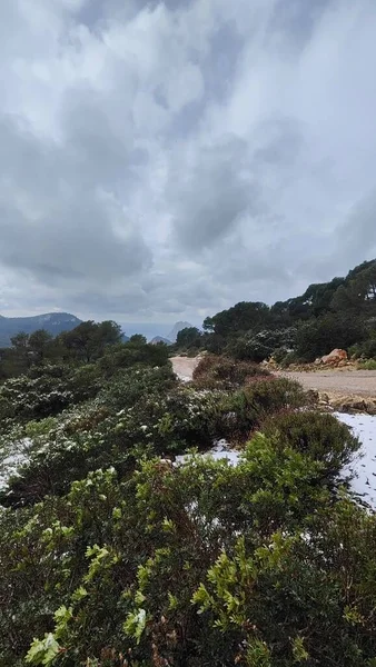 Snow in the mountains of Ibiza, a short distance from the sea. Vertical footage