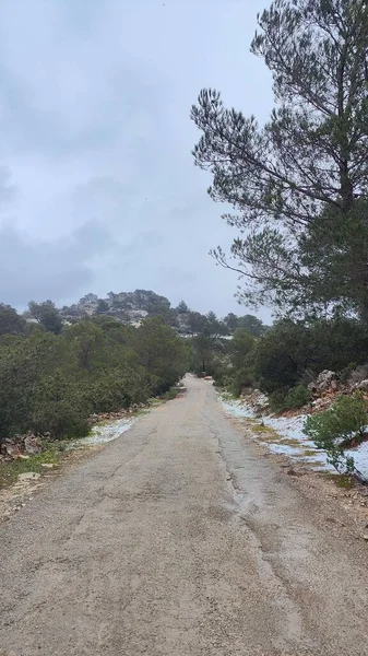 Snow in the mountains of Ibiza, a short distance from the sea. Vertical footage
