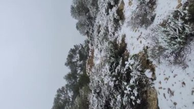 Snow in the mountains of Ibiza, a short distance from the sea. Vertical video footage.